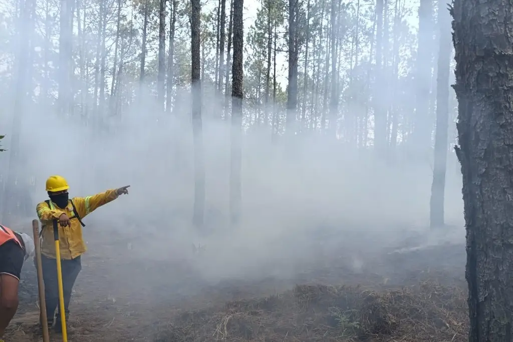 PC reporta 3 'incendios forestales de relevancia' en Veracruz PC reporta 3 'incendios forestales de relevancia' en Veracruz