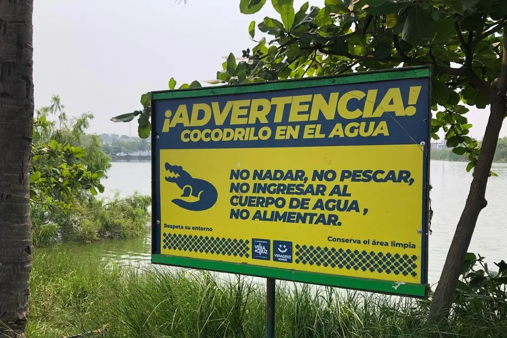 Imagen Sucia y con bajo nivel de agua laguna de Malibrán en Veracruz (FOTOS)