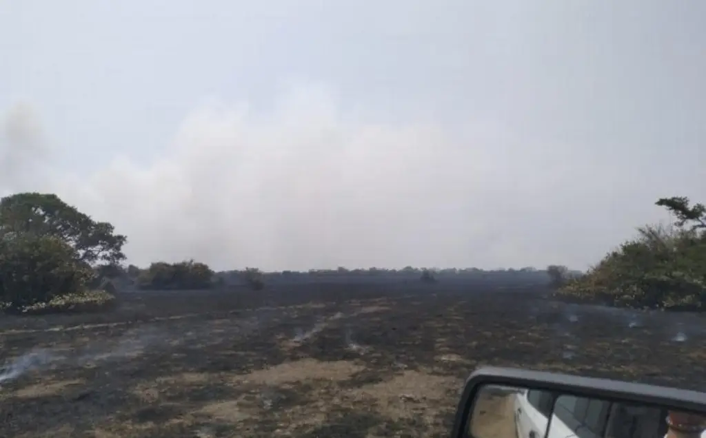 Imagen Incendio de pastizal en Alvarado está controlado 60%, reporta PC 
