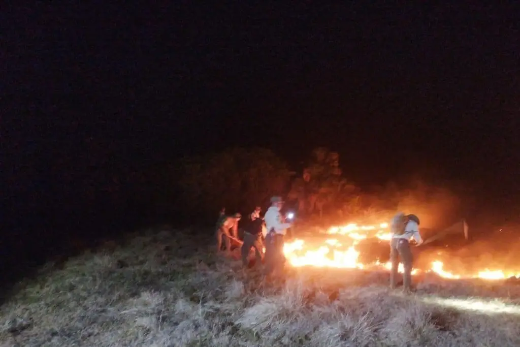 Imagen Incendio de pastizal en Alvarado, controlado al 85%: Protección Civil 