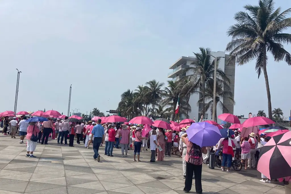 Imagen Marea rosa marcha en Veracruz y Boca del Río