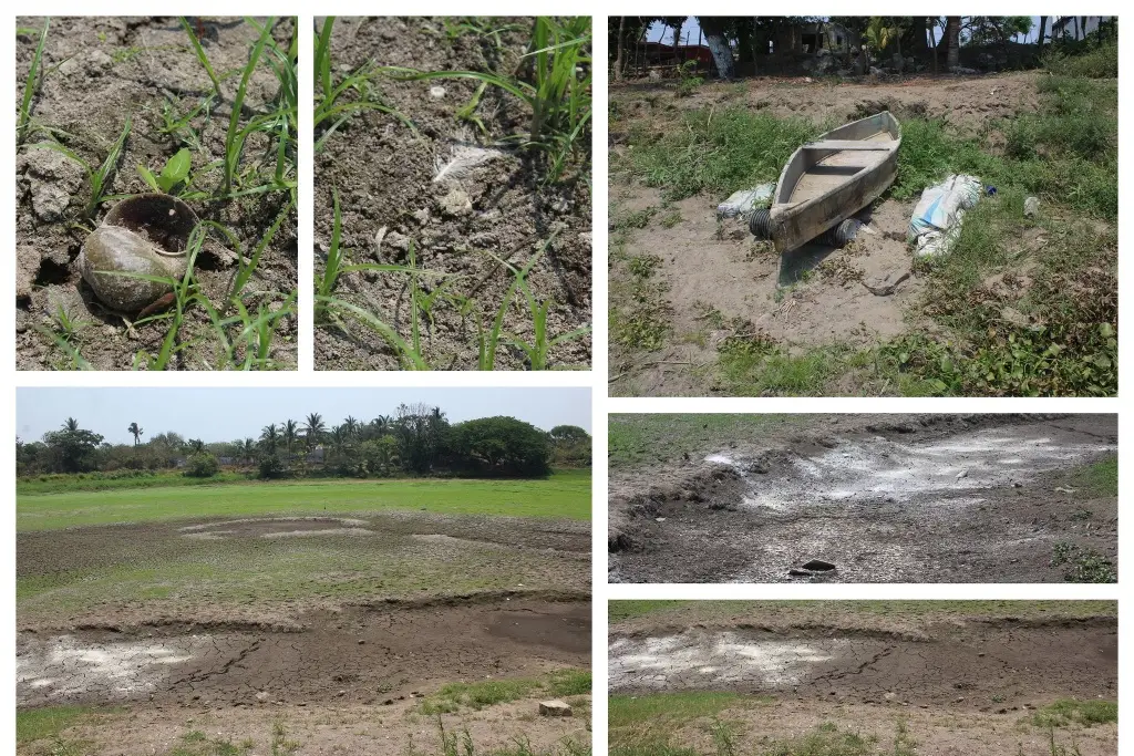 Imagen Una más en la lista de las que se han secado en Veracruz: La Laguna Tarimoya