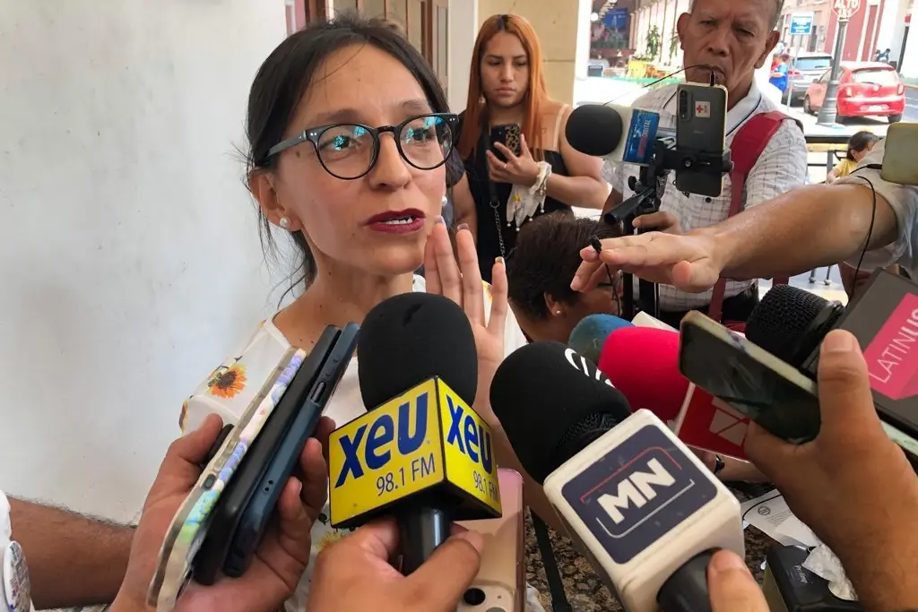 Acusan que hay colectivos de desaparecidos ‘a modo’ del gobierno de Veracruz – xeu noticias