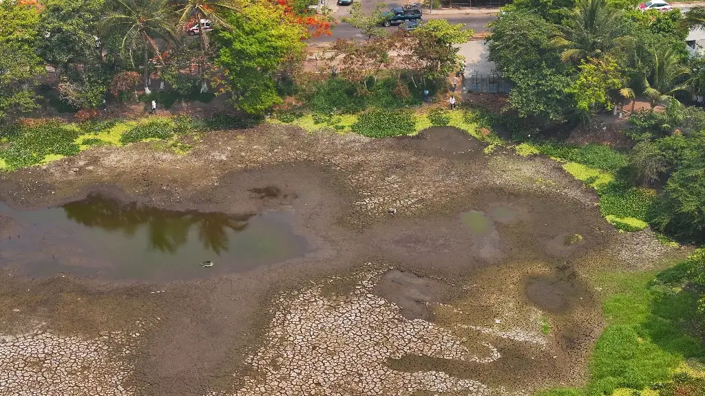 Imagen Estiaje pega a laguna de Lagartos en Veracruz; van por su rescate 