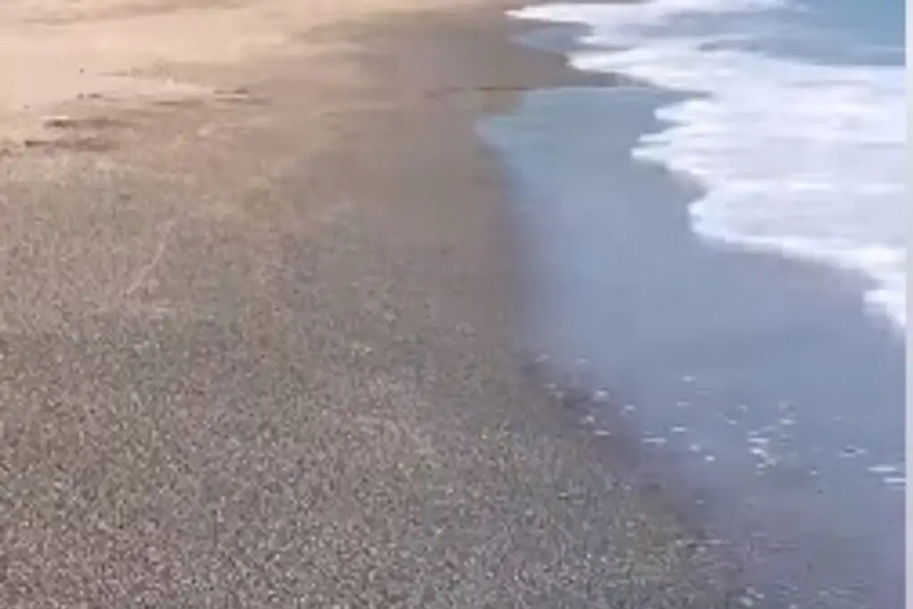 Imagen ¿Sabías que existe una playa con arena dorada en Veracruz? (+Video)