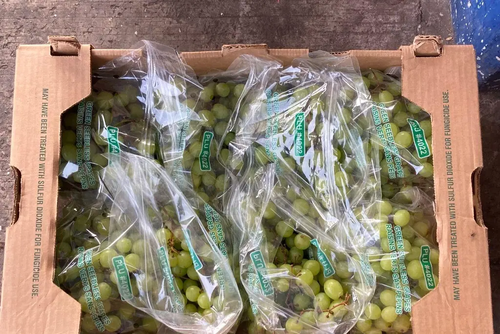 Imagen Calor incrementa el costo de la manzana y uva en mercados de Veracruz 