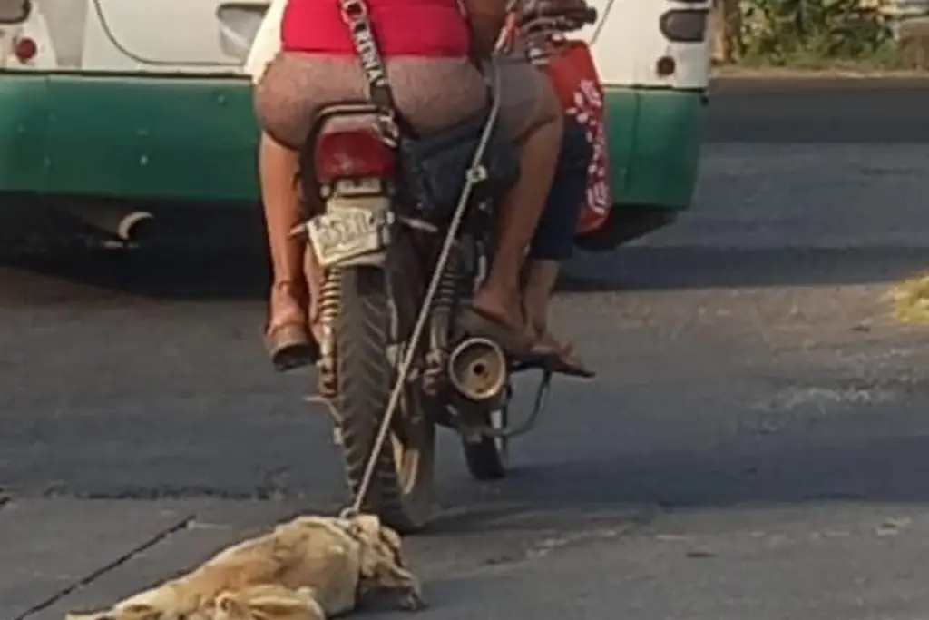 Imagen Captan a motociclistas arrastrando a perrito bajo el sol, en Medellín 