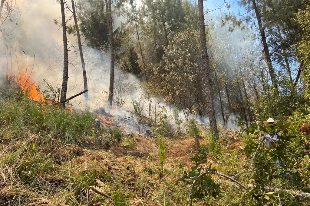 Imagen Suman 23 incendios forestales en el estado de Veracruz