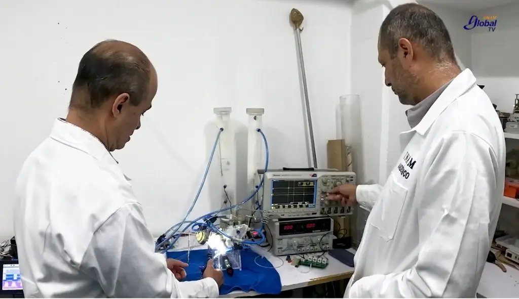 Imagen Crean estómago artificial que imita funciones del órgano humano