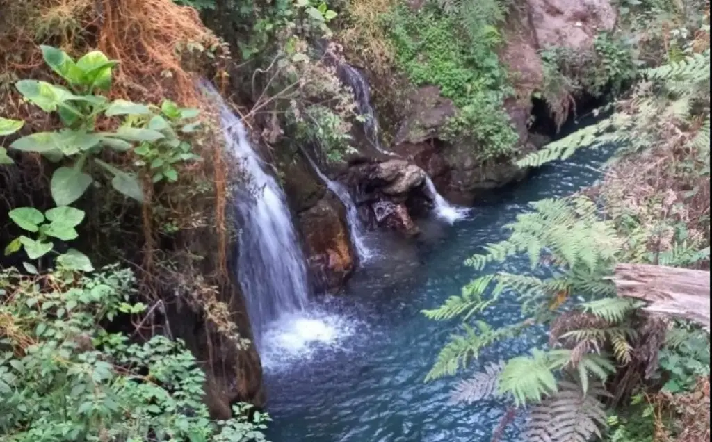 Imagen Restringen acceso a turistas a reserva natural 'Pancho Poza' 