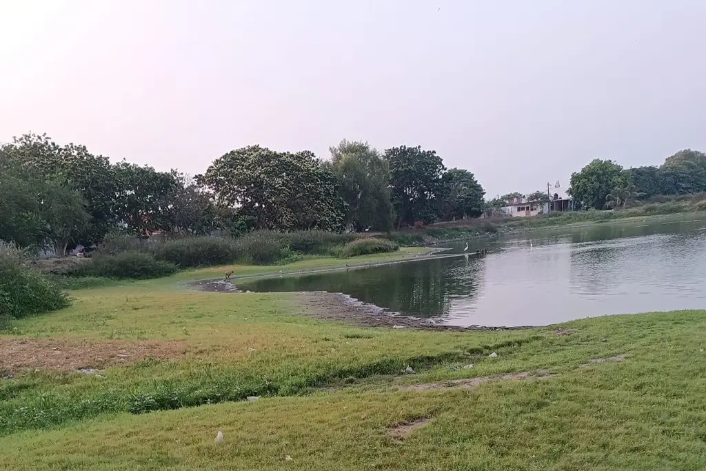 Imagen Invitan a reforestar las lagunas La ilusión y El ensueño en Veracruz