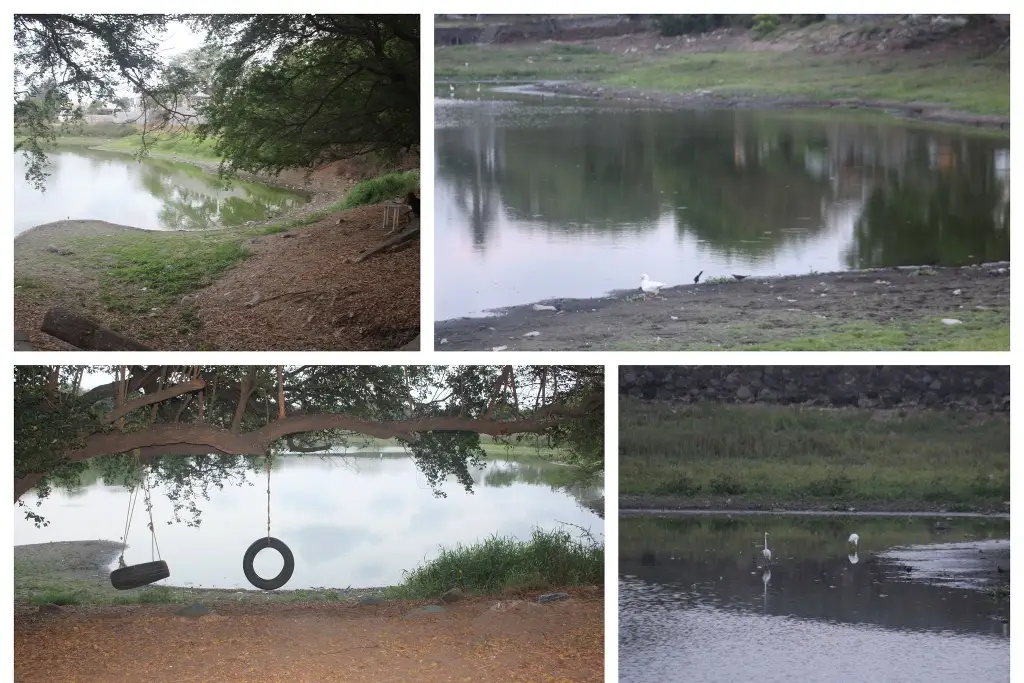 Imagen El nivel de estas lagunas en Veracruz bajó hasta 4 metros, aseguran vecinos