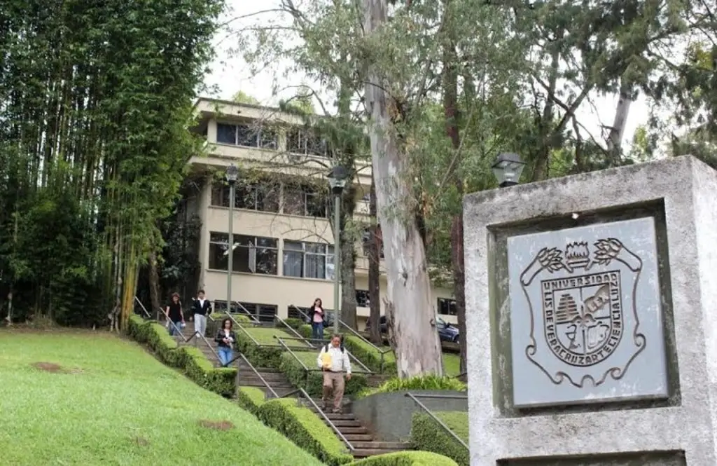 Imagen UV abre centro de acopio para municipios afectados por incendios; esto puedes donar