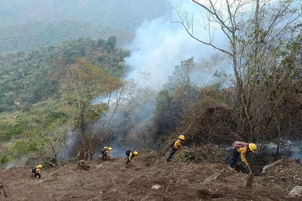 Imagen Reportan 80% de liquidación de incendio forestal en Quimixtlán
