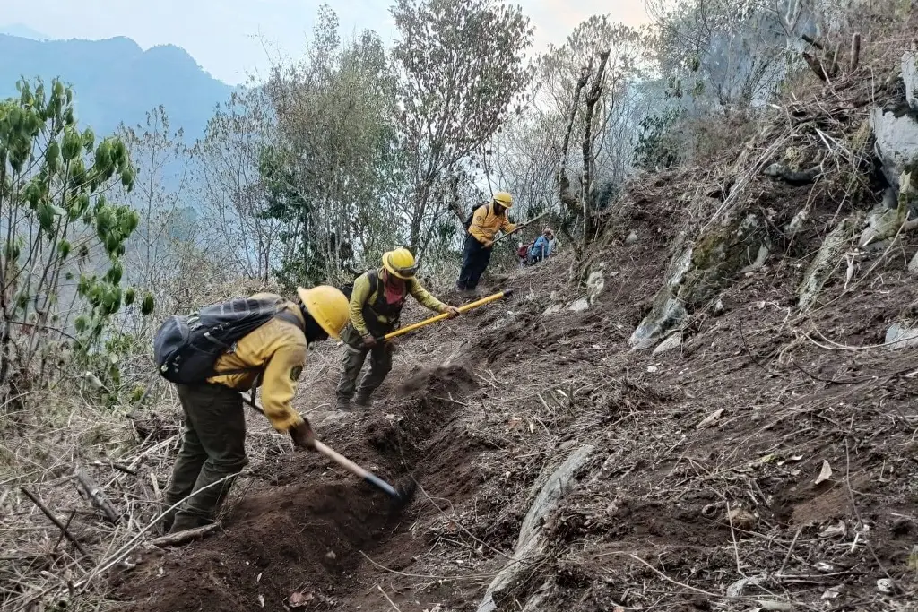 Hay 24 Incendios Forestales Activos En Veracruz Reporta Pc Estatal