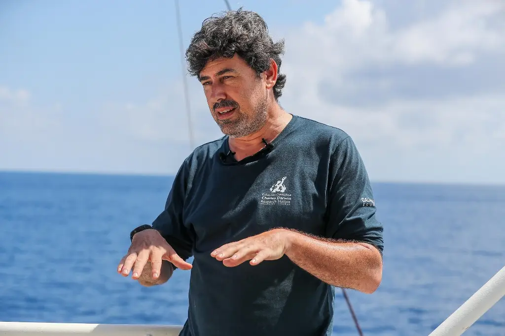 Imagen Unesco advierte deterioro de los océanos; promueve alfabetización oceanográfica