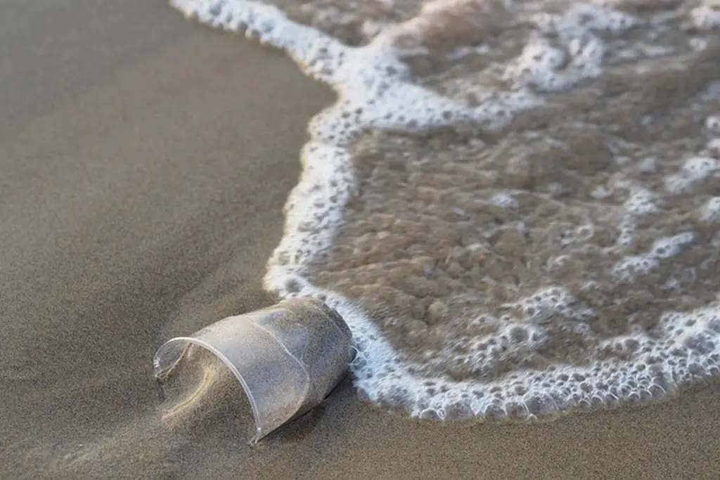 Imagen Plástico que contamina el mar nace en las ciudades, alerta Greenpeace en México