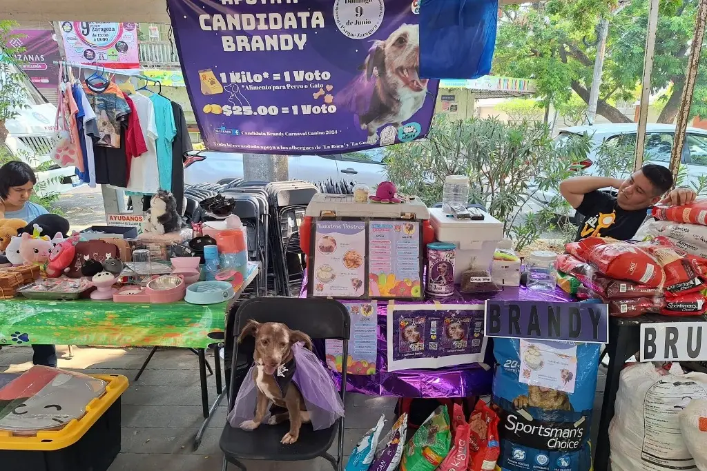 Imagen Carnaval Canino rompe récord de recaudación