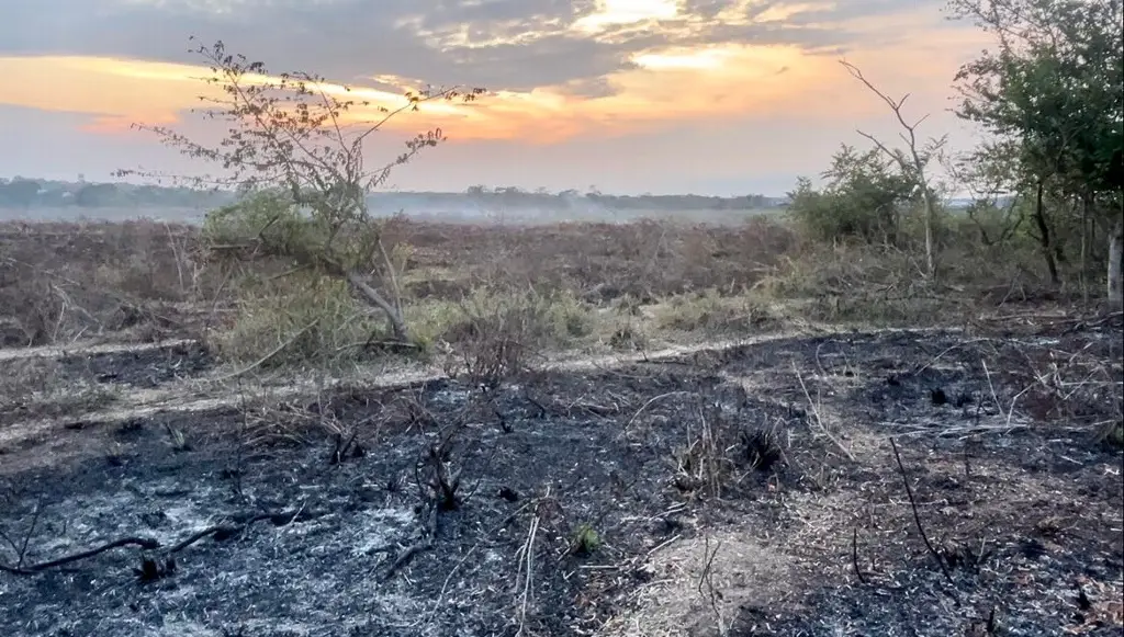 Imagen Tras meses, descubren causa del olor a quemado en las noches al norte y poniente de Veracruz