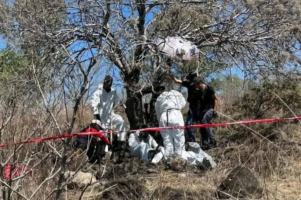 Imagen Colectivos hallan restos de 16 personas en fosas clandestinas en Michoacán