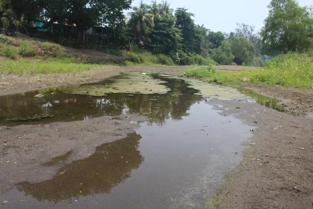 Imagen ¿Las lluvias beneficiaron a los ríos Jamapa-Cotaxtla? Esto informa Conagua