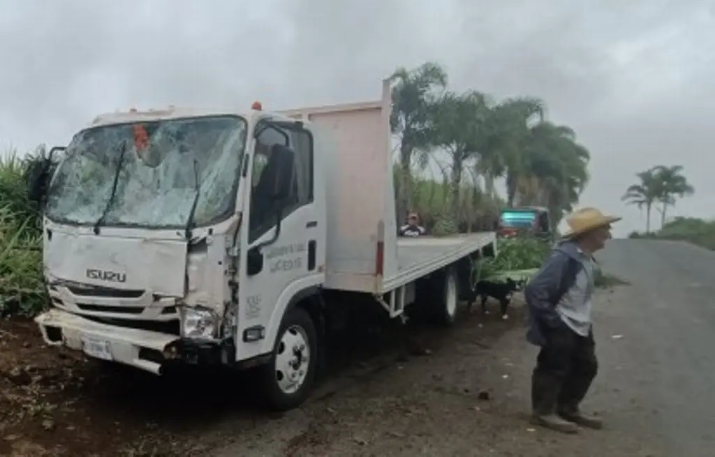 Imagen Mueren dos empleados de ferretera al chocar su camión contra palmeras