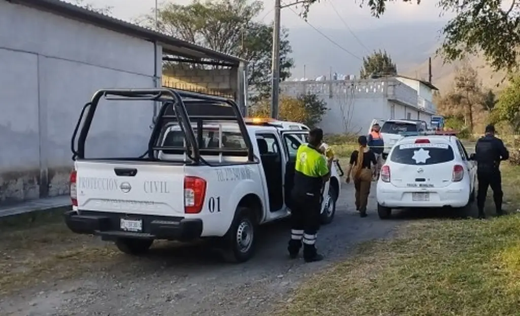 Imagen Hallan sin vida a hombre en un árbol 