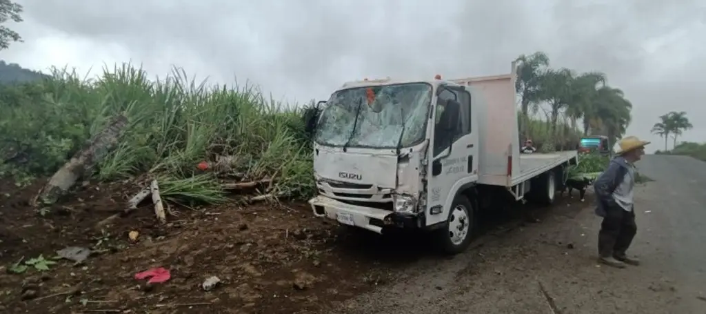 Imagen Identifican a trabajadores que se impactaron contra palmeras en Atzacan