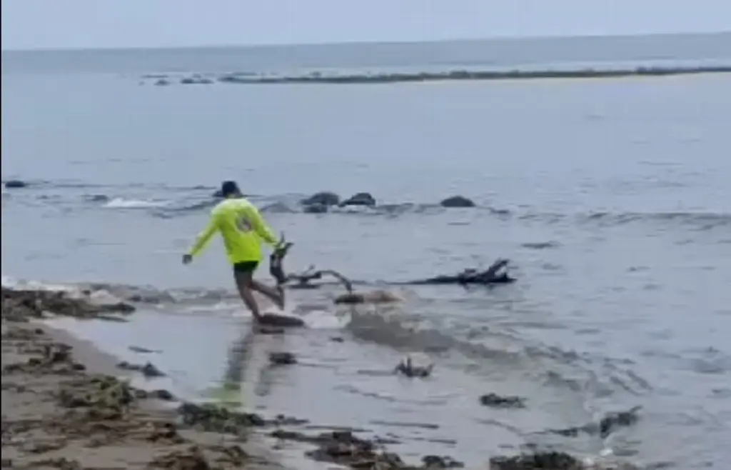 Imagen Hallan a hombre muerto sin ropa en playa