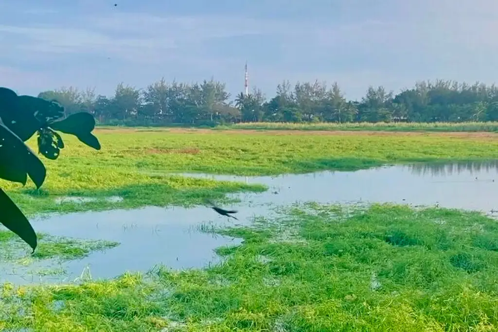 Imagen Esto pasó con la Laguna Lagartos después de la lluvia