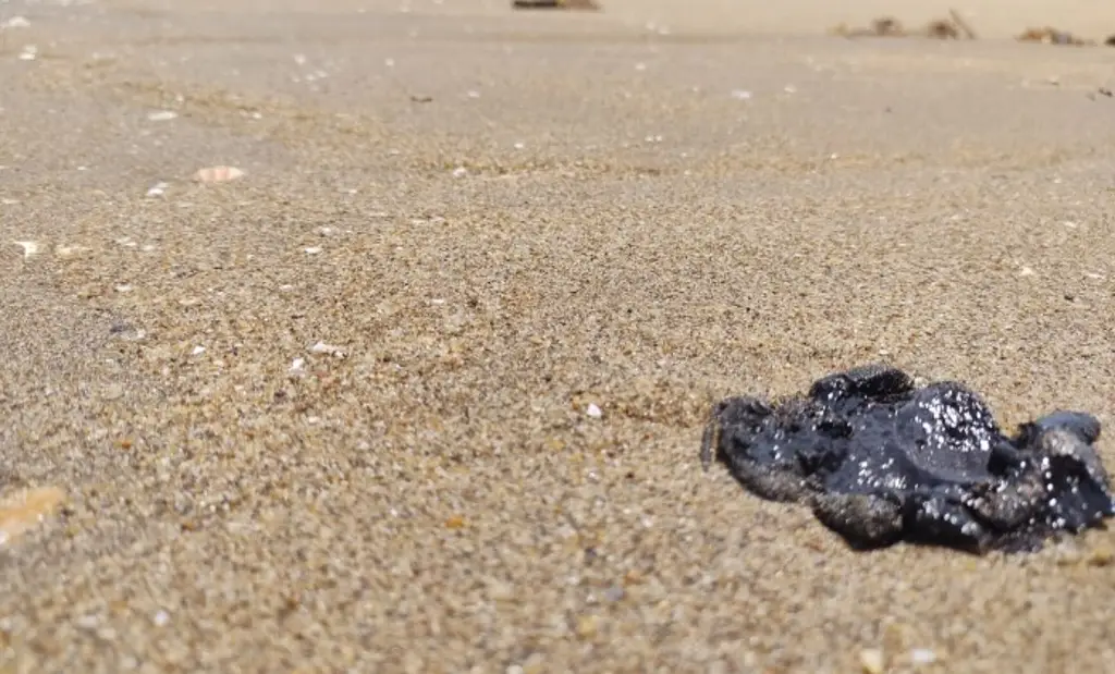 Imagen Otra vez hay manchas de petróleo en playas veracruzanas