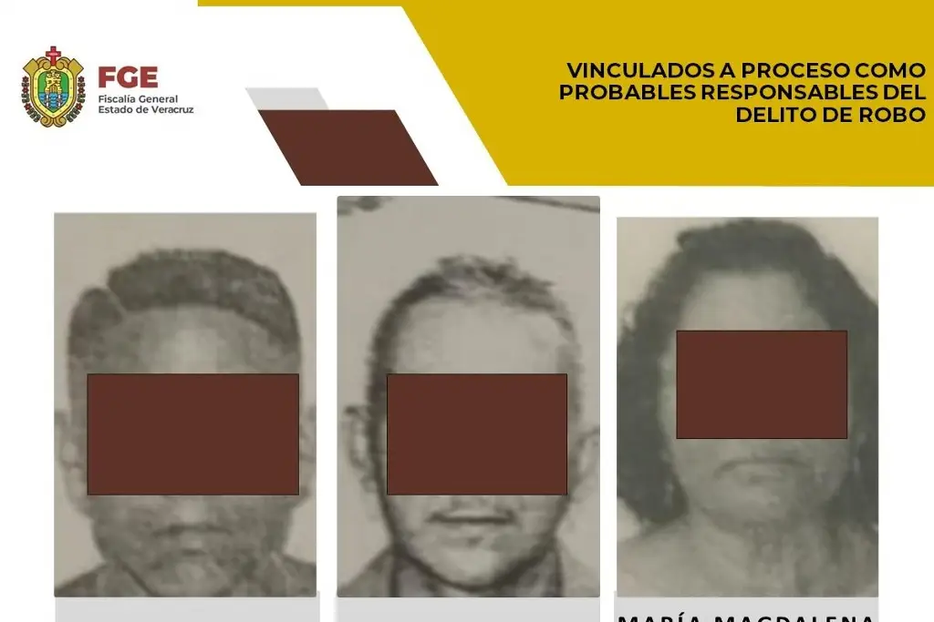 Imagen Los vinculan a proceso por el delito de robo en colonia al sur de Veracruz 