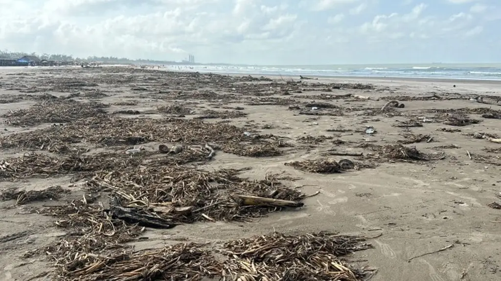 Imagen Alertan que lluvias y palizada ahuyentan al turismo de las playas al norte de Veracruz 