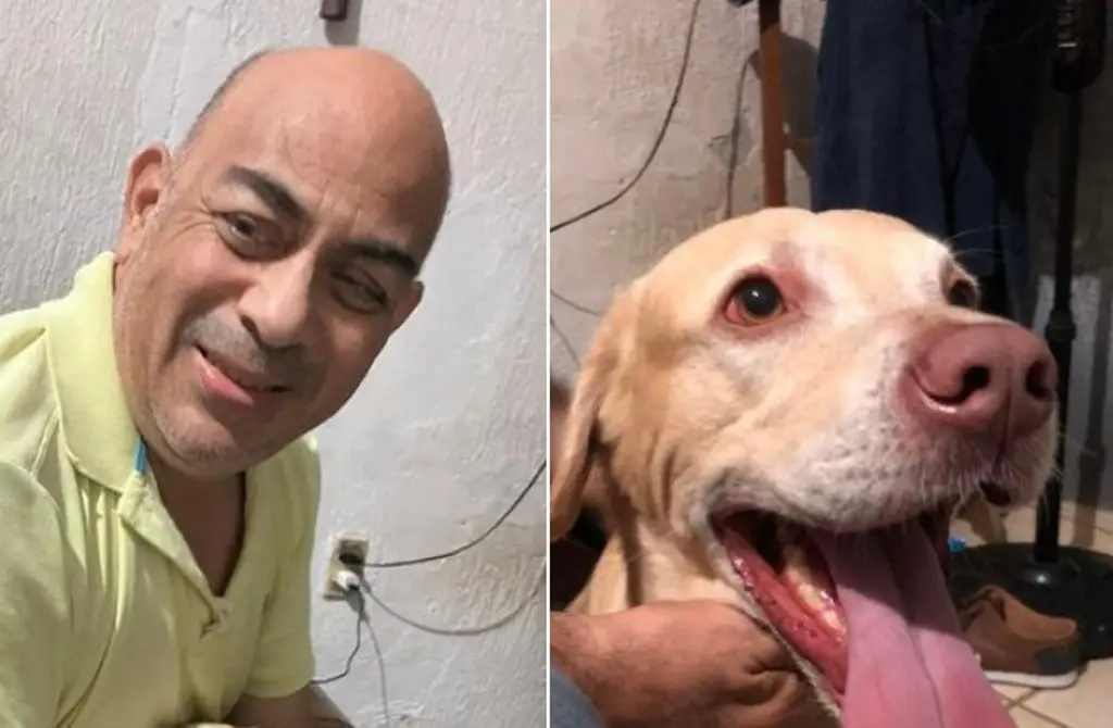 Imagen Encuentran al perrito Ducky, se perdió en fraccionamiento de Veracruz