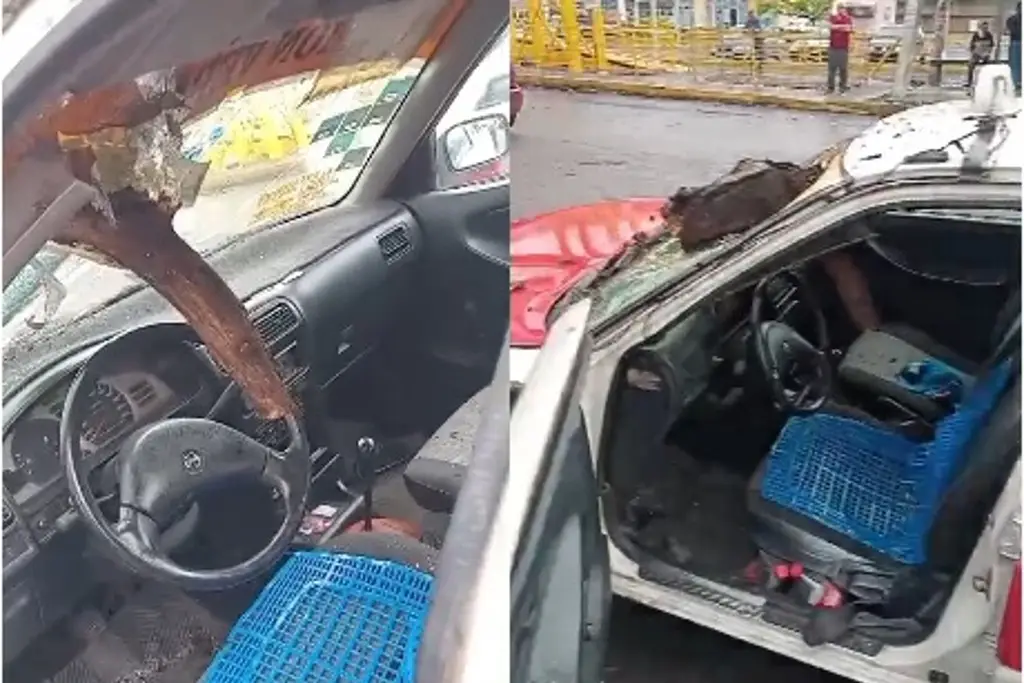 Imagen Tronco atraviesa parabrisas de taxista en Veracruz 