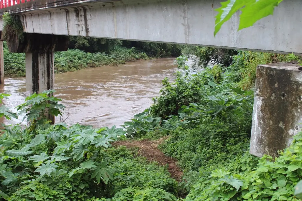 Imagen Prevén aumento en nivel del río Jamapa, a la altura de El Tejar
