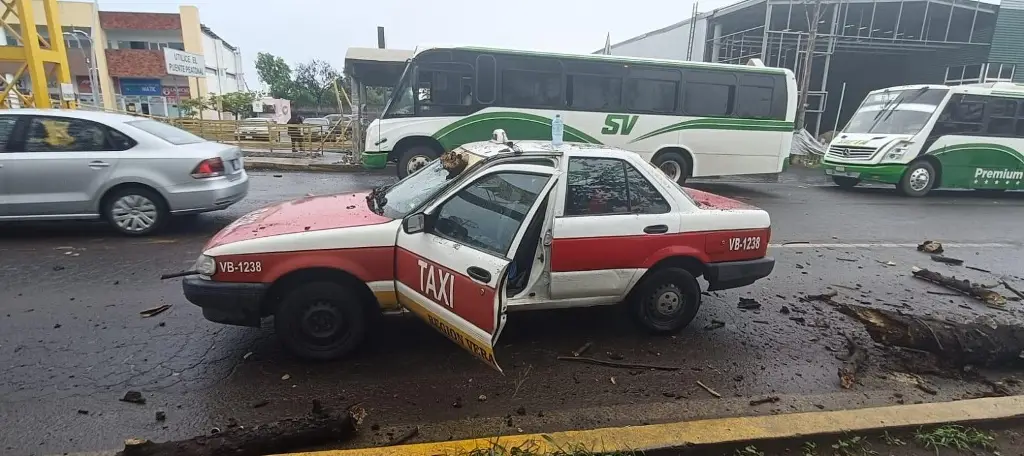 Imagen 'Quedé pasmada': Pasajera narra cómo tronco atravesó parabrisas de taxista en Veracruz