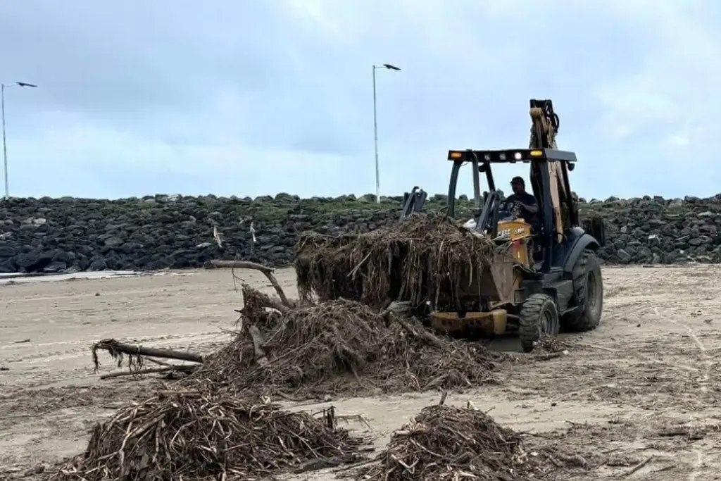 Imagen Limpian palizada y basura en playas al norte de Veracruz 