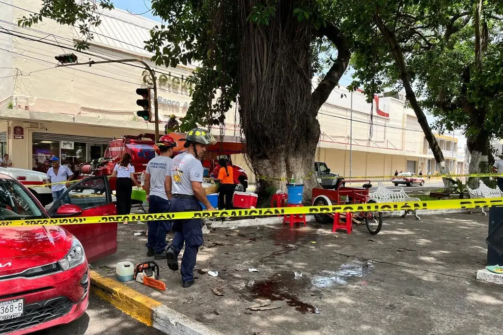 Imagen Rama cae en centro de Veracruz y lesiona a una menor y un adulto 