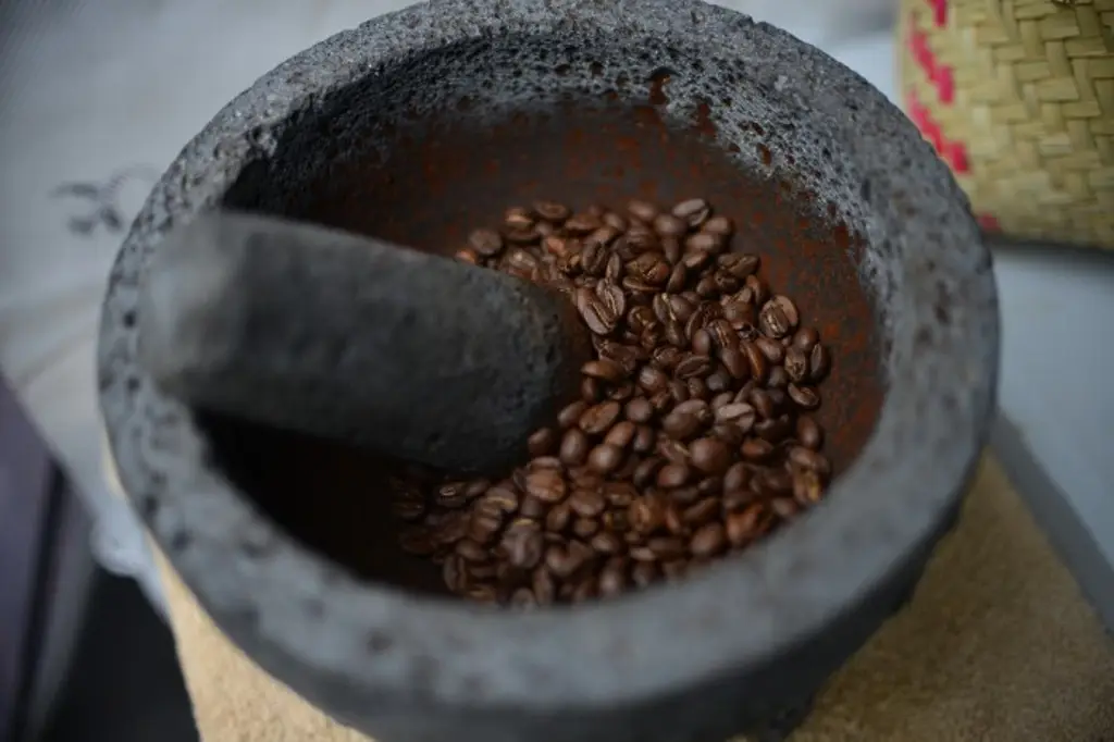 Imagen Sin contabilizarse daños al café causados por la pasada ola de calor: Productores