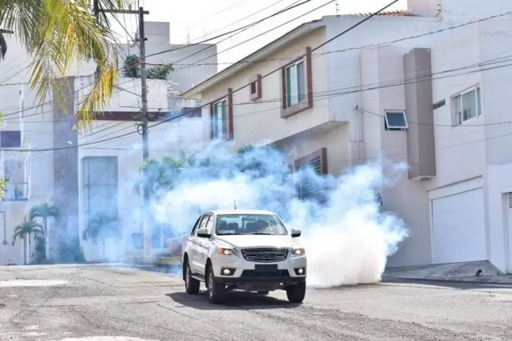 Imagen Ya son 6 las defunciones por dengue en el estado de Veracruz