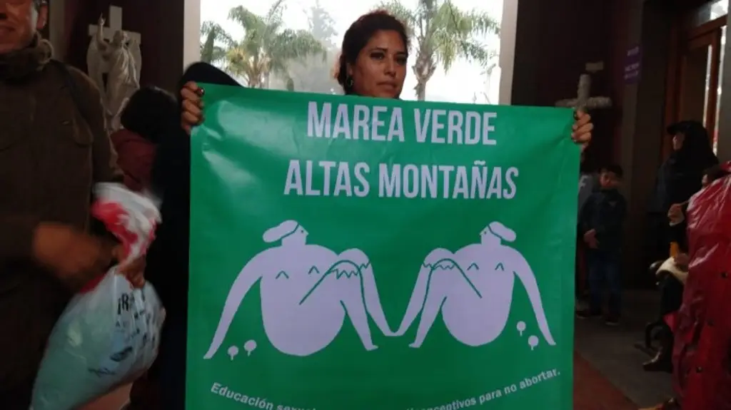 Imagen Tenemos el derecho de presentarnos y reclamar la interrupción legal del embarazo: Marea Verde