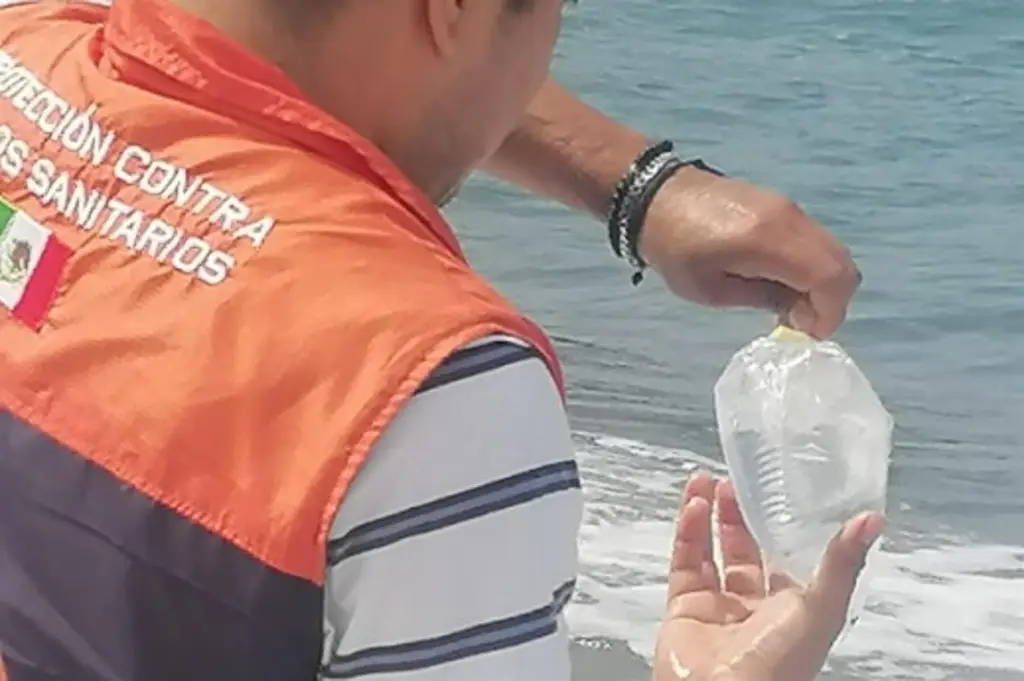 Imagen Servicios de Salud informa que tomará nuevas muestras de agua en playas de Veracruz