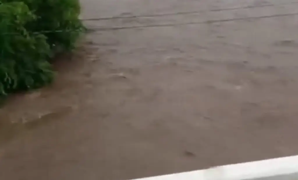 Imagen Reportan desbordamiento del río Palma Sola 
