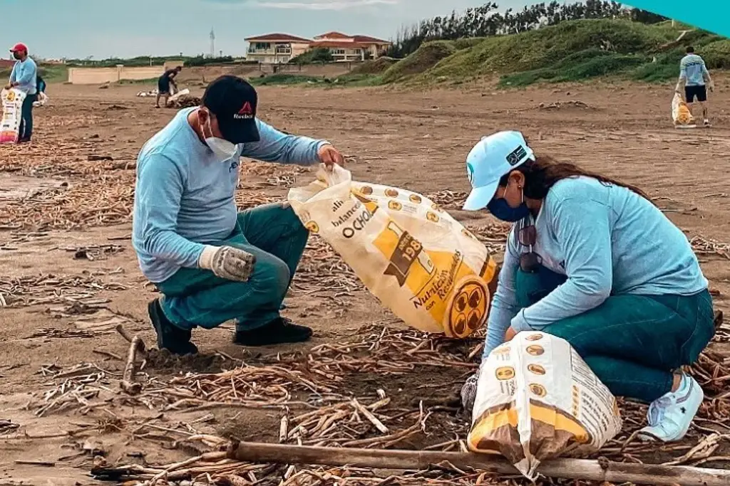 Imagen Harán limpieza de playas en la Riviera Veracruzana