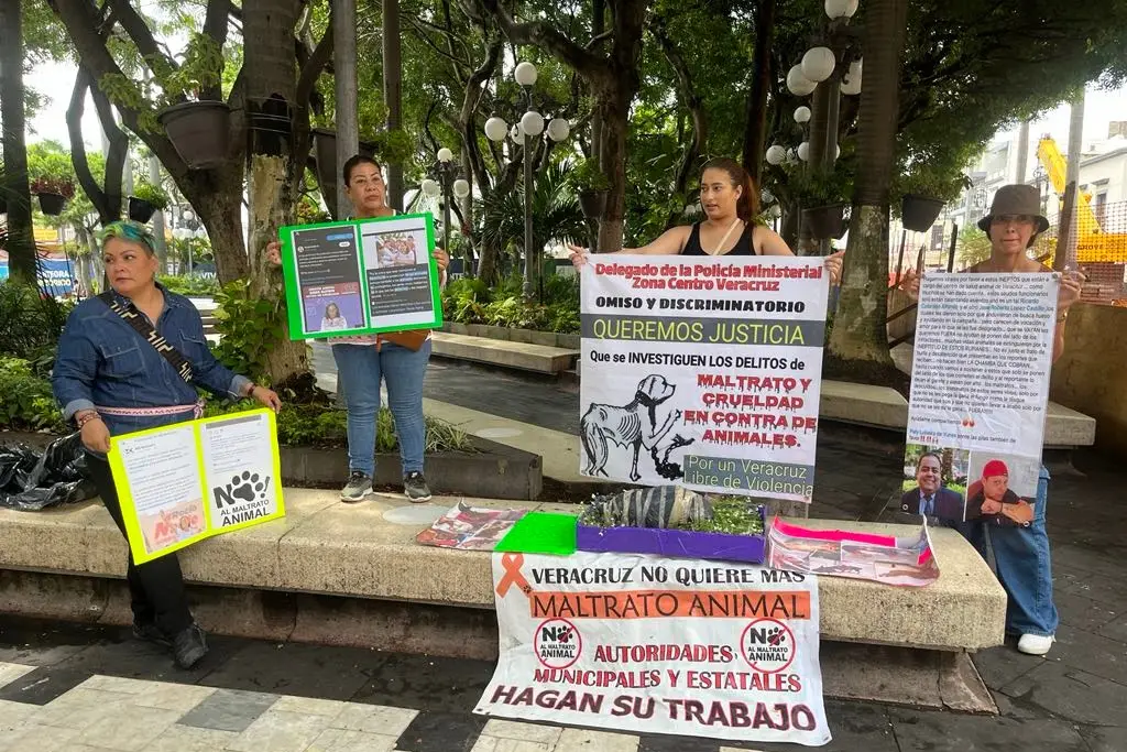 Imagen Piden justicia por perro que murió al ser lanzado a la banqueta en Veracruz