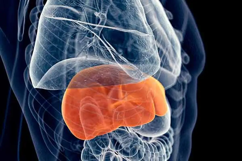 La hepatitis se puede convertir en cáncer hepático, si no se cuida, advierte UNAM