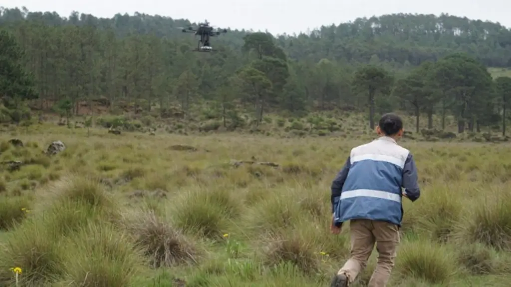 Imagen Reforestarán con drones zonas afectadas por incendios forestales en Veracruz