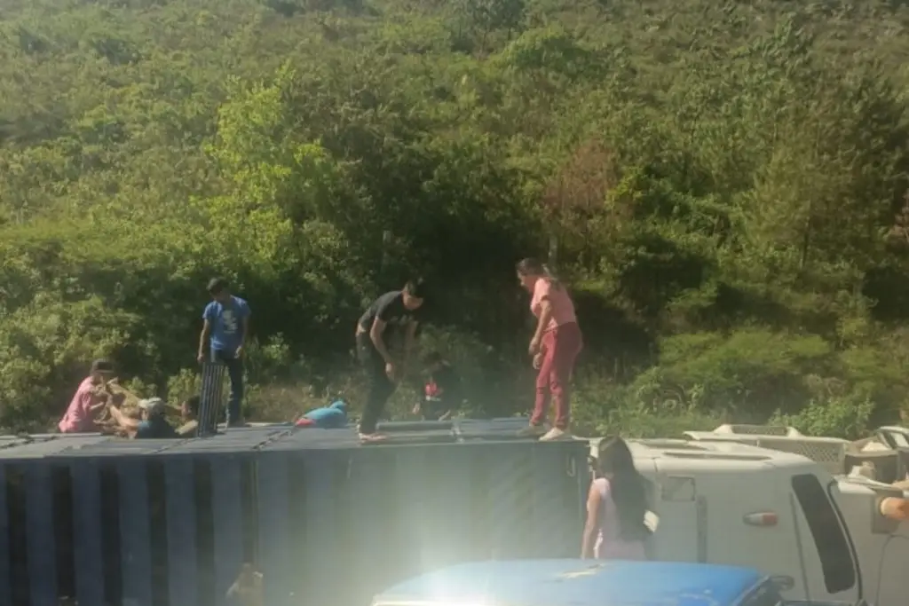Imagen Vuelca camión sobre carretera de Veracruz; realizan rapiña de puercos 