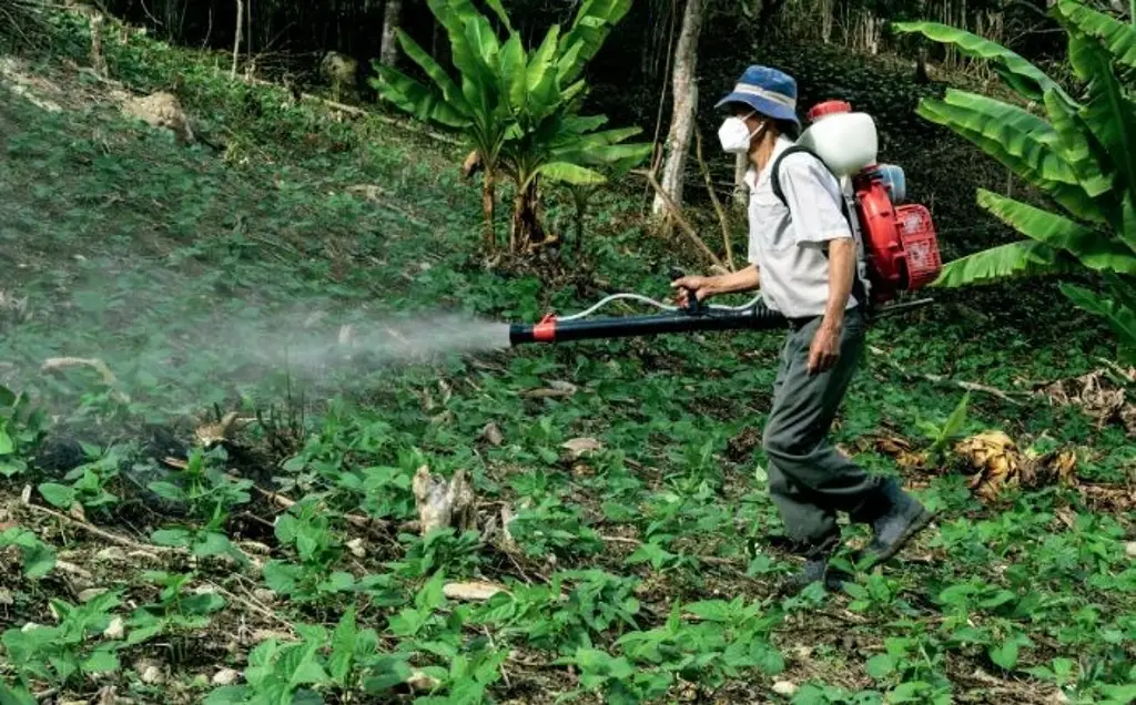 Imagen Veracruz, sexto lugar en intoxicación por uso de plaguicidas